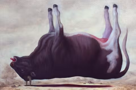 Las vacas no dan leche