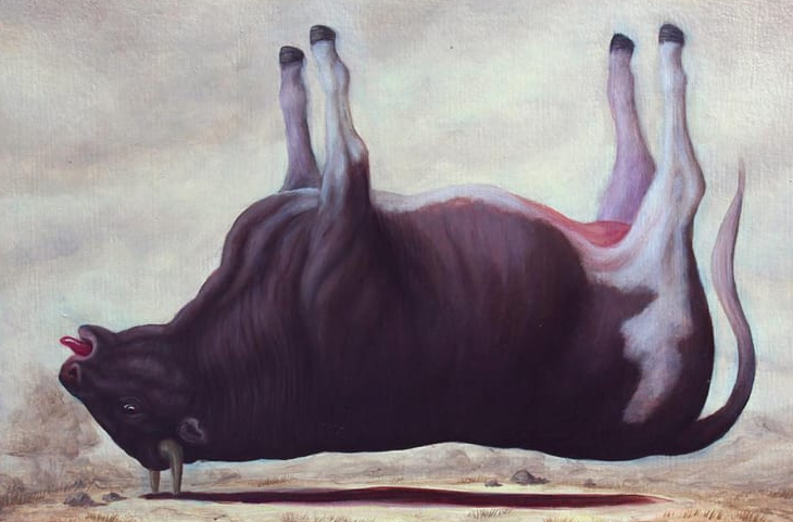Las vacas no dan leche