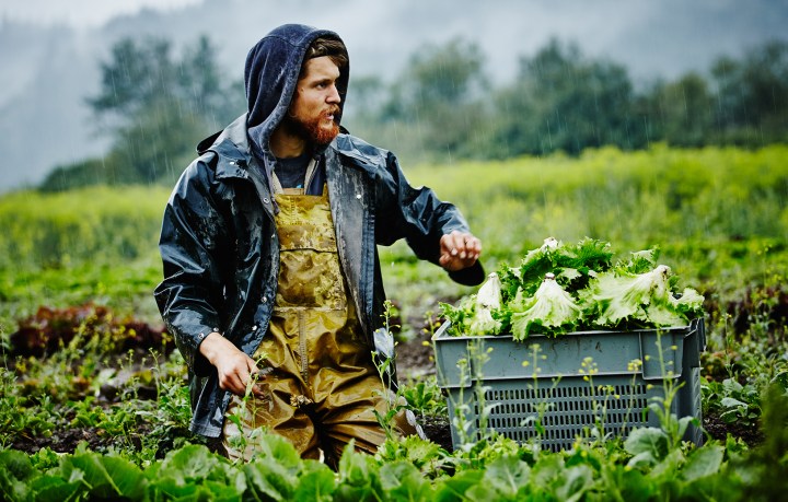 España: ¿por qué no tenemos una derecha social?